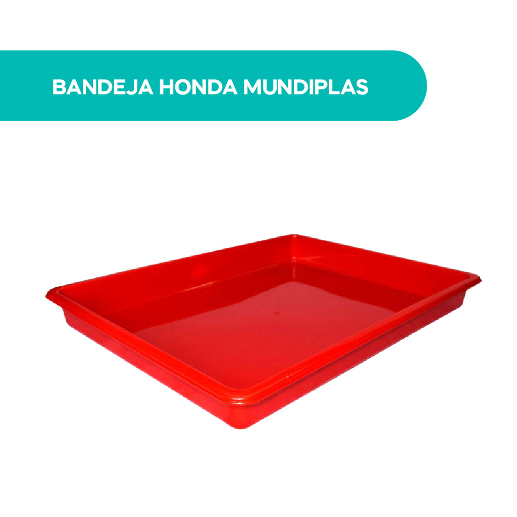 Bandejas Hondas # 25 - MultiDesechables - Envío a Domicilio