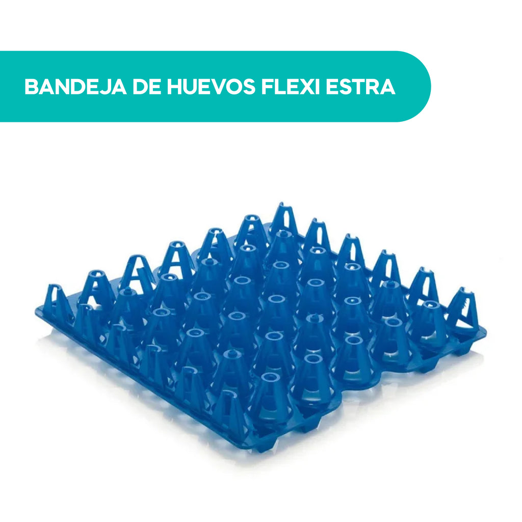 Bandeja de Huevos Flexi Estra