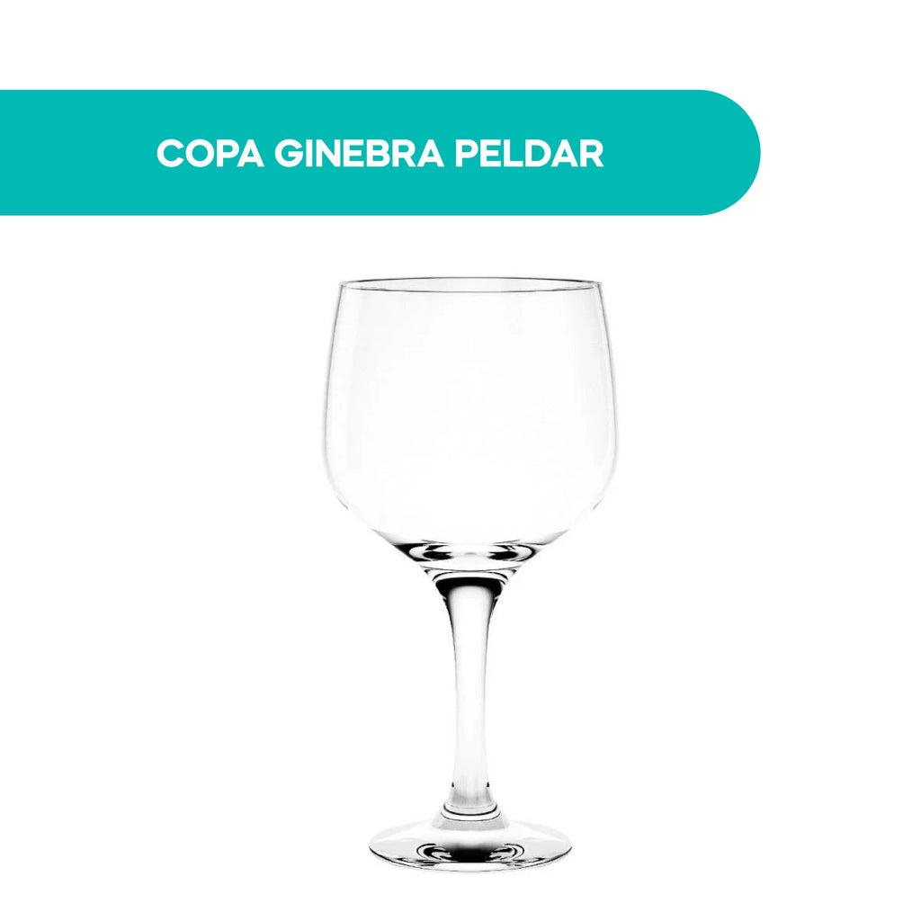 Copa Ginebra Peldar