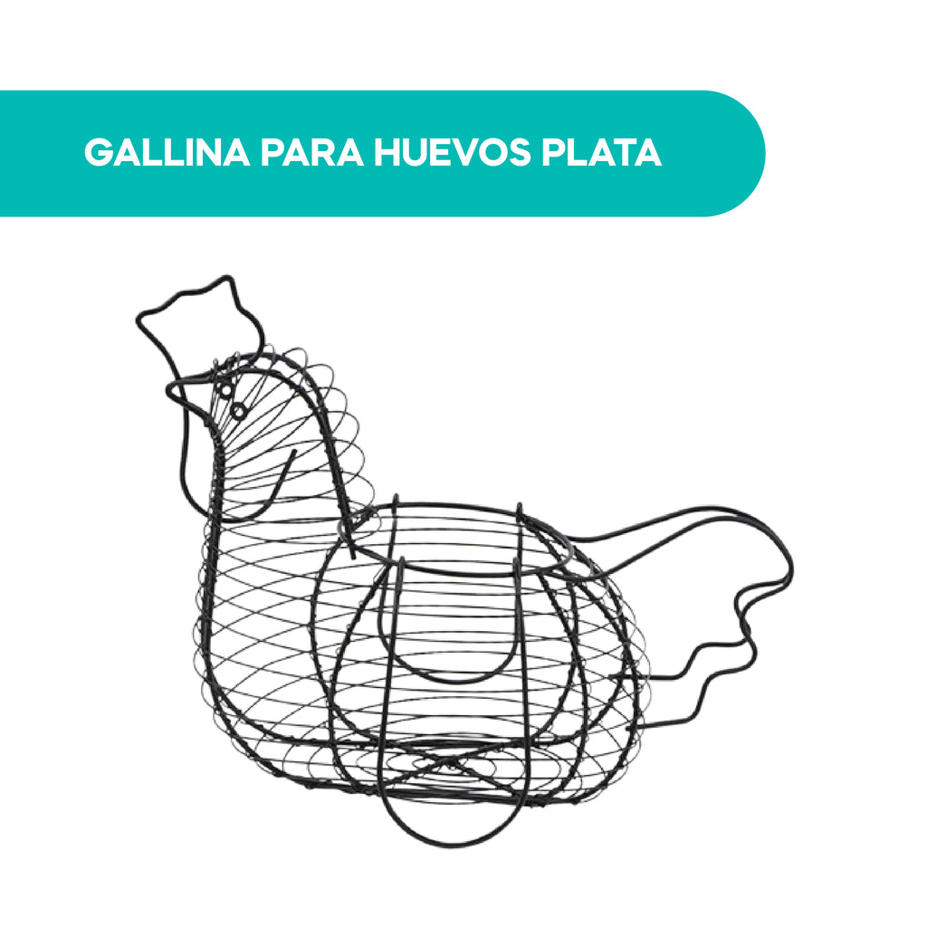 Gallina Para Huevos Plata 
