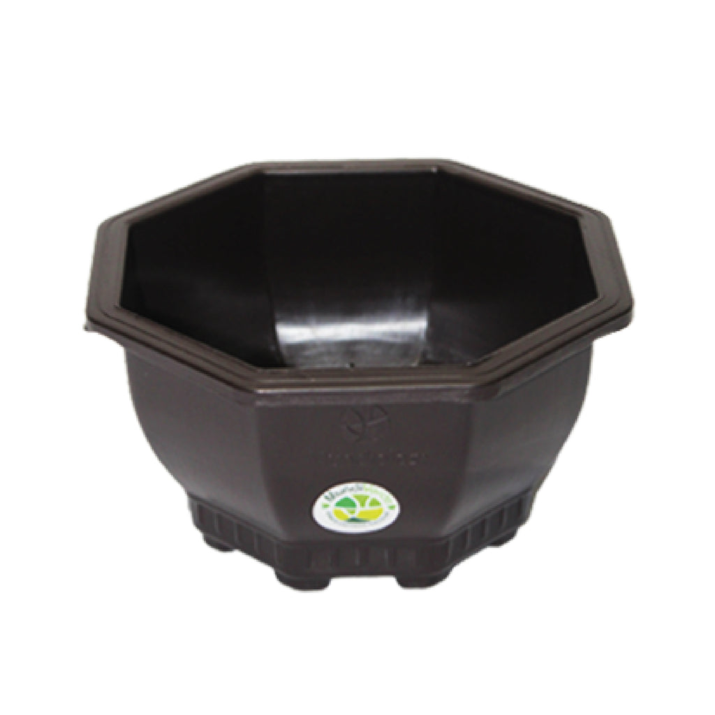 Matera Octagonal N1 Wengue Mundiplas